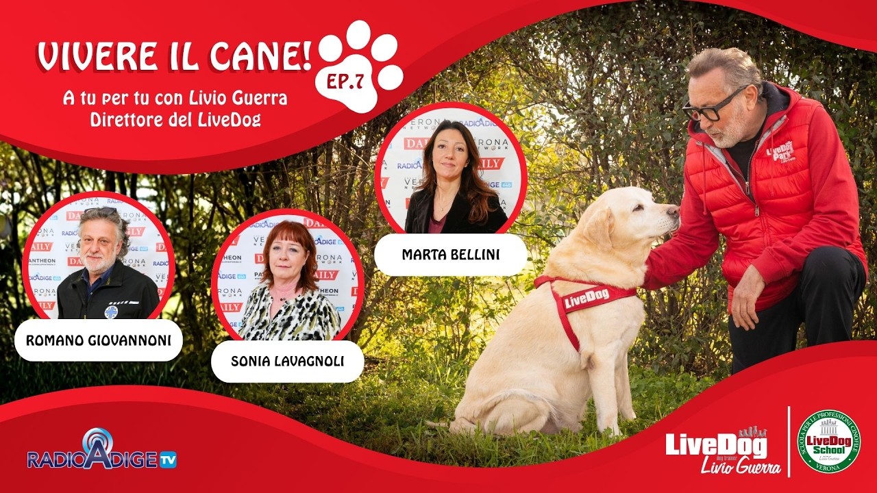 Descrizione dell'immagine