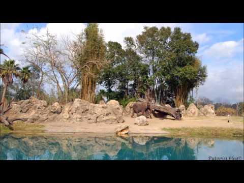 Slackbaba - From The Ashes ( Original Mix)