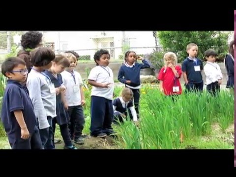 The Honorable Harvest-Rosa Parks