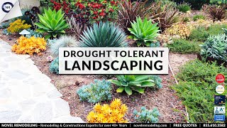 preview picture of video 'Drought Landscaping Corona, Riverside, CA - Drought Tolerable landscaping California'