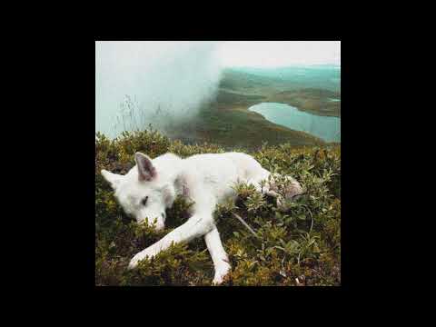 (free) XXXTENTACION x Kanye West x Frank Ocean type beat "spacefree" (Prod. Sapjer)