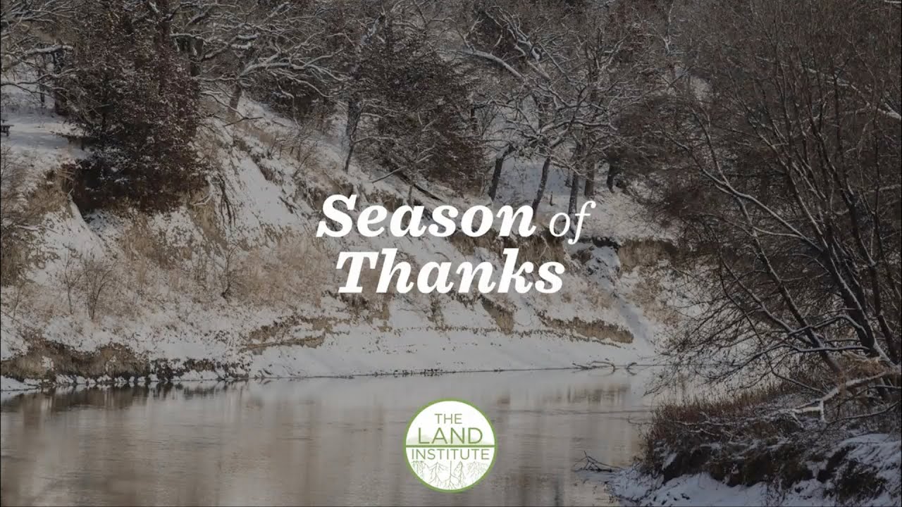 Season of Thanks