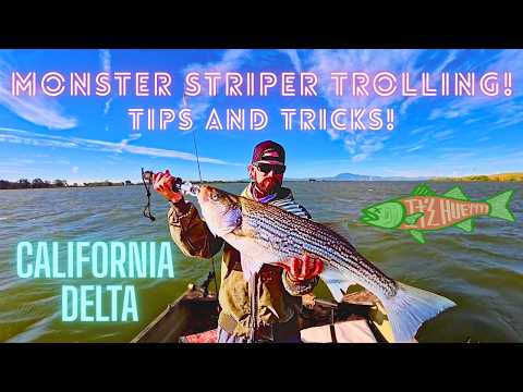 Local Experts Reveal The Best Time To Fish For Striper In Fresno Ca