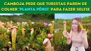CAMBOJA pede que turistas parem de colher \