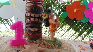 Theia's 1st Birthday (May 16, 2015)