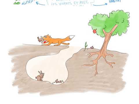 vivant et non-vivant - première année