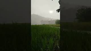 Download lagu best day of my life mp3 Download lagu best day of my life mp3