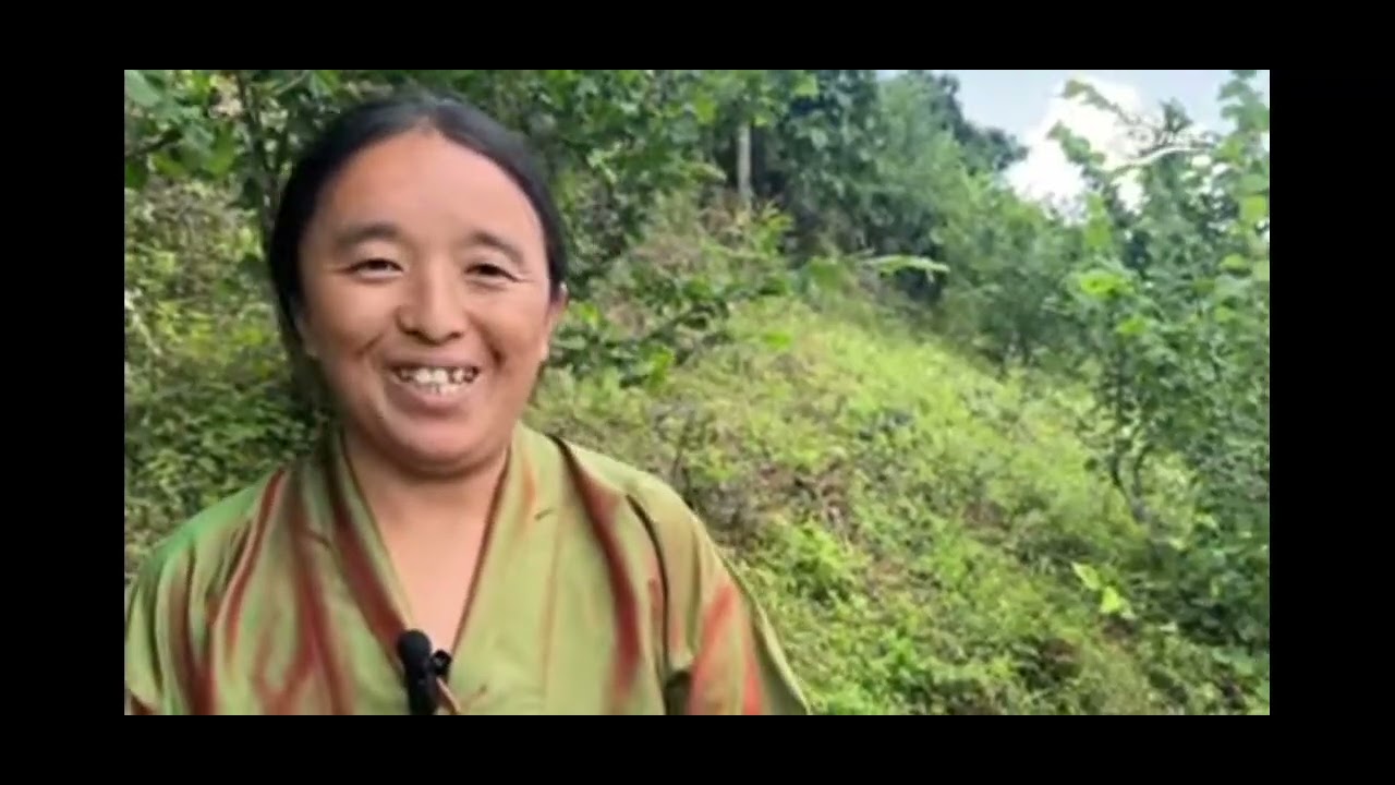 BBS (English): Rainforest Alliance Certification on the horizon for Bhutanese hazelnuts