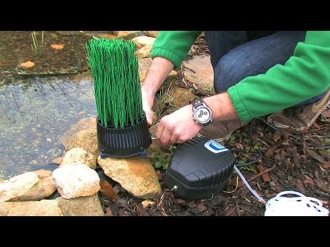 Teichpflege im Herbst