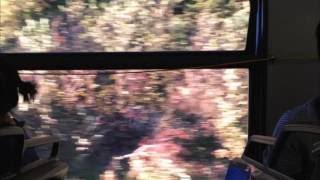 you always hurt the one you love