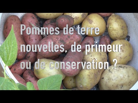 , title : 'Cultiver des pommes de terre primeurs ou de conservation'