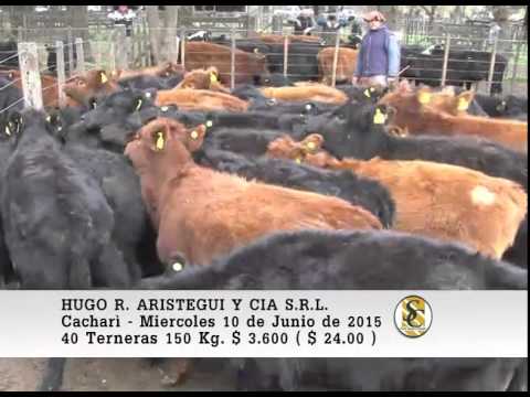10-06-15 Venta de Hembras - Hugo R. Aristegui y Cia S.R.L. - Cacharì.