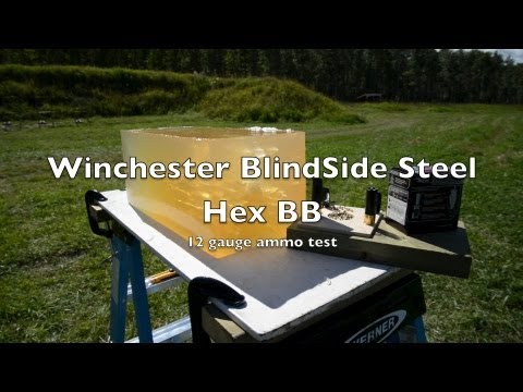 Ammo Test! 12 Gauge BB - Winchester BlindSide Elite