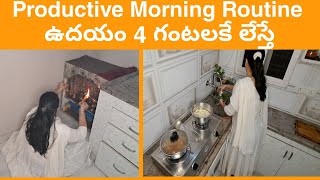 రోజంతా నేను ఇంట్లో చేసే పని My Productive Daily Routine (Cooking & Cleaning Motivation)