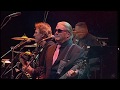Evil Woman - The American ELO - "Jungle"