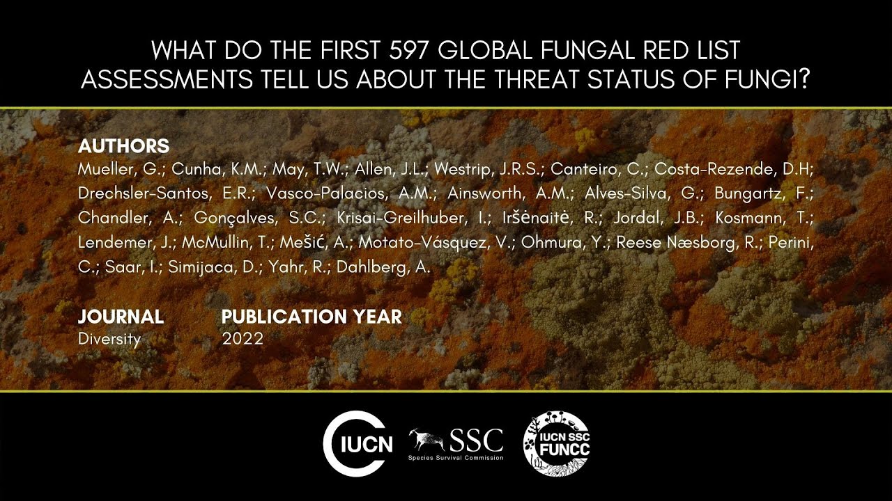 Thumbnail of the video