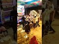 Manish Meghwal Videos