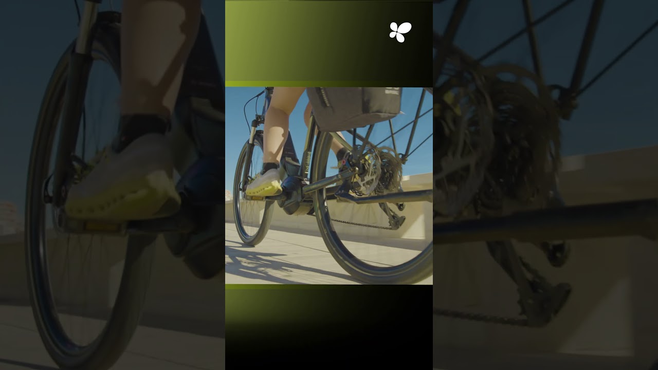 Erneuerung der Strandpromenade von Magaluf: eine neue Küstenfront