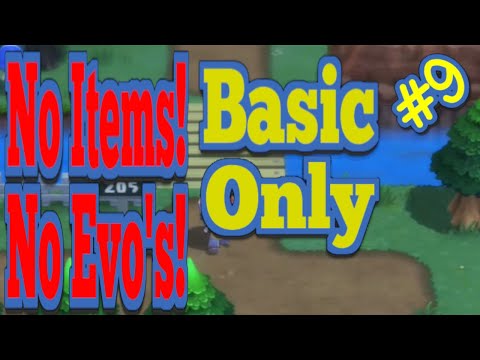 Basic Only Challenge (9) Route 205