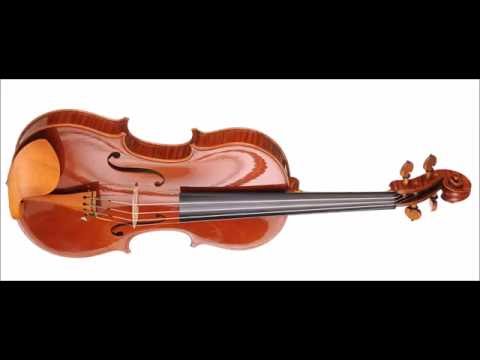 Krzysztof Krupa - 2nd Prize - 13th Wieniawski Violin Making Comp | binaural recording | concert hall