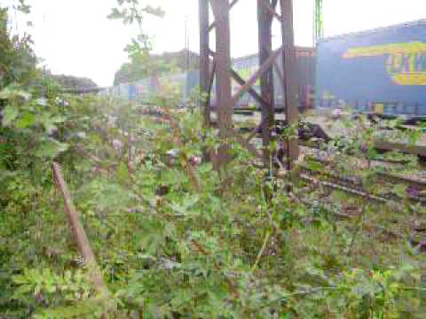 Crossrailgüterzug auf der Rheintalbahn