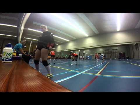 Klaverblad Verzekeringen Quinto DS1 - VCO DS1 Set 1