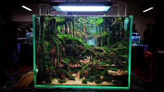 #338 Amazing Aquascape "Karanganyar Aquascape contest"