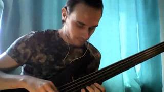 Michael Manring solo "Words For Nerds"