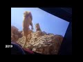 The Lion King 2019 Mufasa Death Scene Comparison With 1994 Original