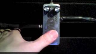 Video thumbnail for El Musico Loco - Wee Beaver Fuzz by Dennis Kayzer