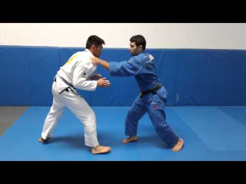 Xande Ribeiro Jiu-Jitsu (BJJ- Judo) - J Janero Academy - Sensei Justin Flores