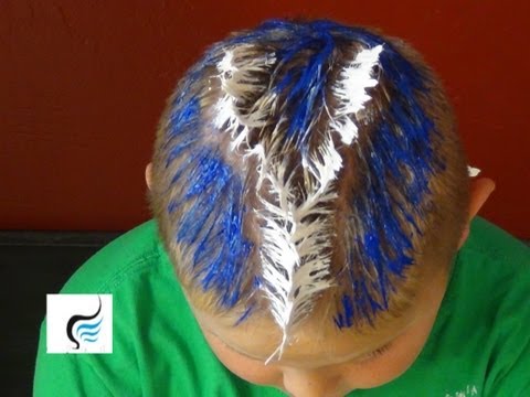 Crazy HairStyles For Crazy Hair Day At School