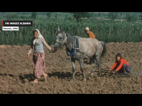 Kosovo, 1980: Jeta në Kosovë në vitin 1980