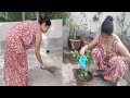 Roof Cleaning In Deshi Style Gardening Indian Housewife Bengali Blog