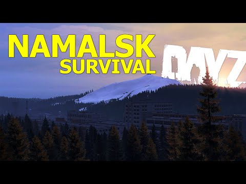 A Namalsk Adventure with Random Survivors - DayZ