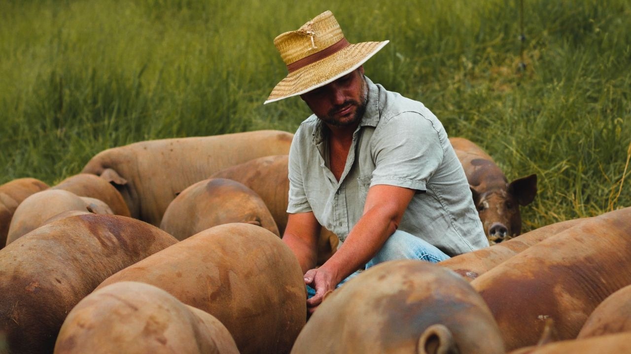 Ele Cria Porcos Caipiras e Nos Apresenta o Melhor do Vale Histórico Paulista.