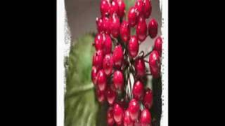 Marjorie Estiano - Flores