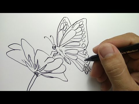 83 Gambar Kolase Kupu Kupu Dari Bijian Terbaik