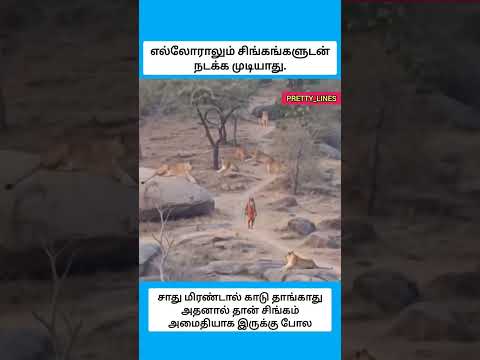 ஒரு சாதுவின் தைரியம் #shorts