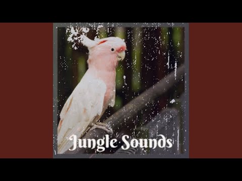 Get Off (feat. Street Styler)