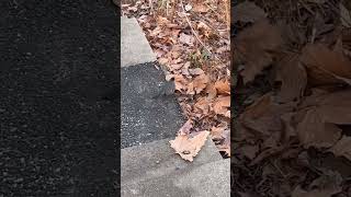 もずくとの出会い…