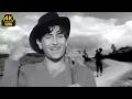 Mera Joota Hai Japani Raj Kapoor Classic Song 4K Shree 420 Mukesh Hindi Song