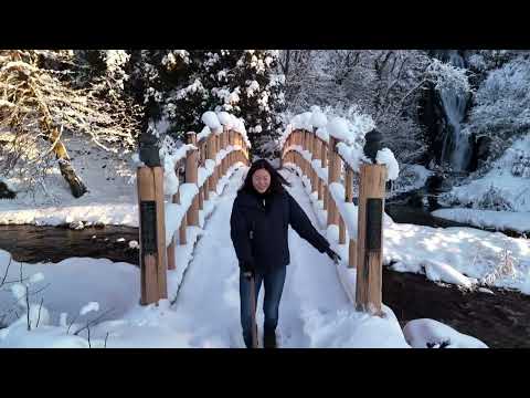 圧巻の雪化粧！こさか七滝 #秋田犬 #秋田 #小坂町 #滝 #Akita #Akitadog #Akitainu #waterfall