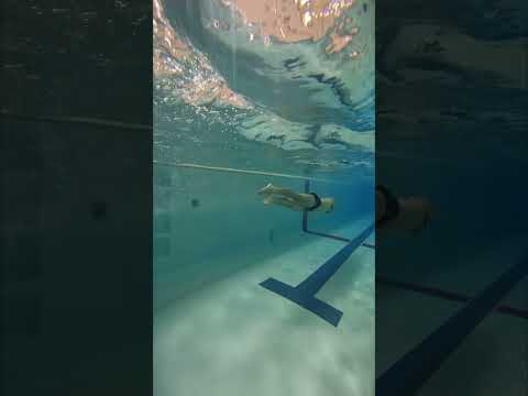 piscine-jardin-terrasse-bois-chaises-longues-coin-detente