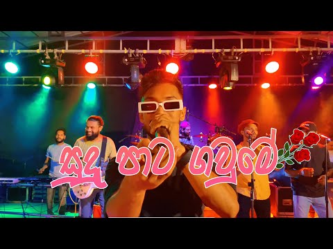 Sudu Pata Gawume | සුදු පාට ගවුමේ ආදරය බැදුනේ | Tango Chill | කවුරුත් හෙව්ව එක