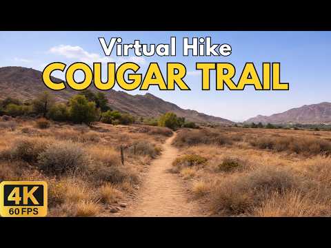 4K Treadmill Virtual Hike – Cougar Trail, Box Springs Mountain | 40-Min Nature POV in 100F Heat