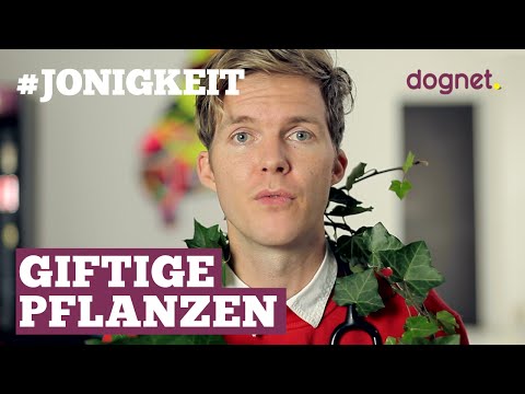 , title : 'Giftige Pflanzen für Hunde & Katzen - #Jonigkeit 03'
