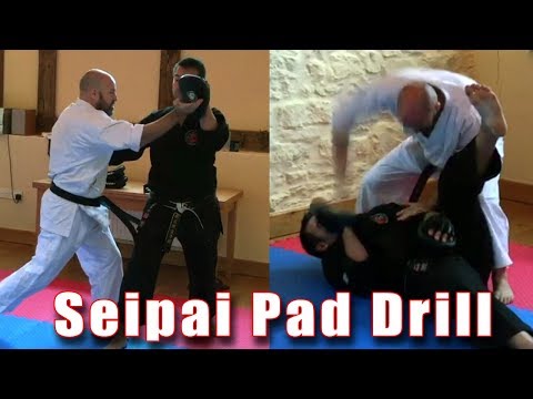 Seipai Pad Drill and Bunkai Flow Drill