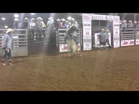 EG 2259 Ms. Kitty's Peacemaker •Palestine 6-19-15