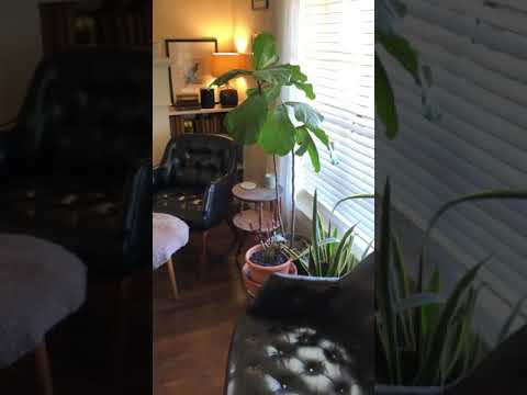 209-211 Tennant - Video 2 of 2